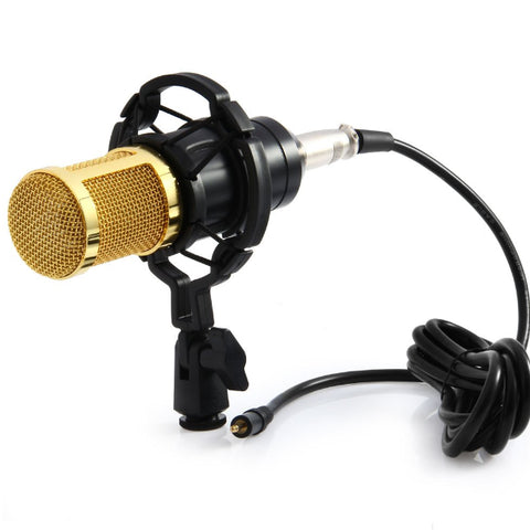 High Quality Professional Microphone