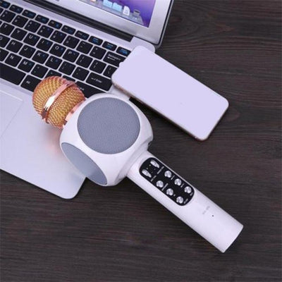 LED Light Wireless Microphone